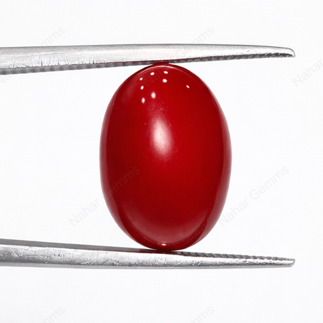 Red Coral–5.77crt
