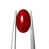 Red Coral–5.53crt
