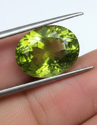 preidot-9.04crt