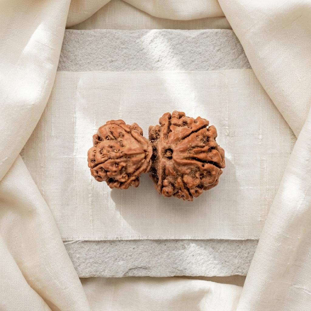 Natural Garbh Gauri Shankar Rudraksha