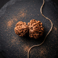 Natural Garbh Gauri Shankar Rudraksha