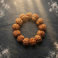 Natural 5 Mukhi Rudraksha Bracelet (Nepali)