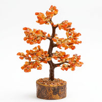 Red Carnelian Tree