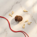 Natural 1 Mukhi Rudraksha Savar (Nepali)