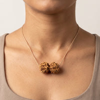 Gauri Shankar Rudraksha