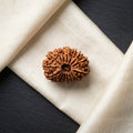 Natural 16 Mukhi Rudraksha (Nepali)