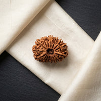 Natural 16 Mukhi Rudraksha (Nepali)
