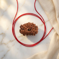 Natural 17 Mukhi Rudraksha (Nepali)