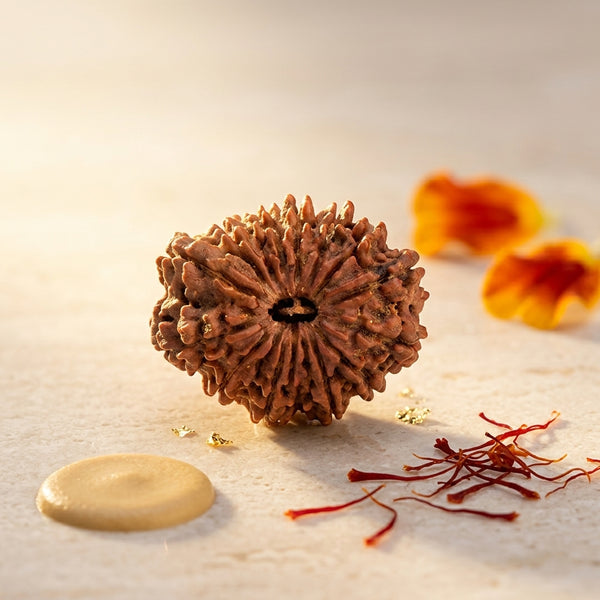 Natural 17 Mukhi Rudraksha (Nepali)