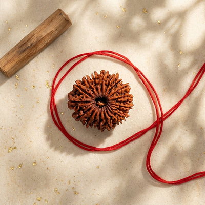 Natural 18 Mukhi Rudraksha (Nepali)