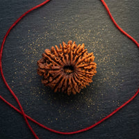Test Pooja